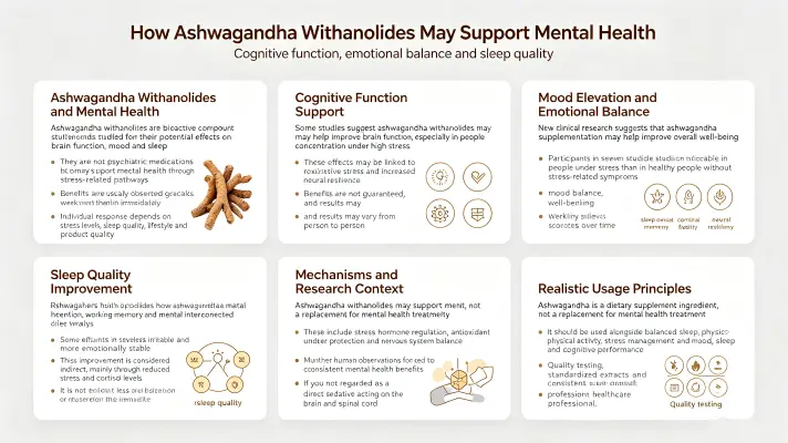 How Ashwagandha Withanolides Enhance Your Mental Health