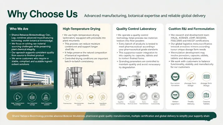 Why Choose Us