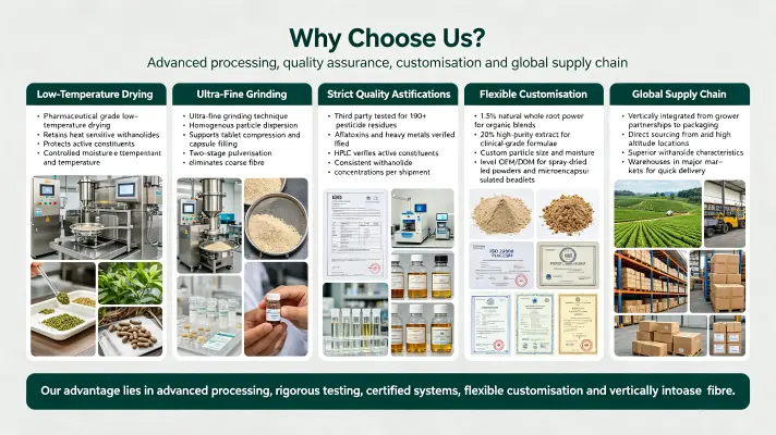 Why Choose Us