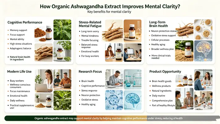How Organic Ashwagandha Extract Improves Mental Clarit How Organic Ashwagandha Extract Improves Mental Clarit