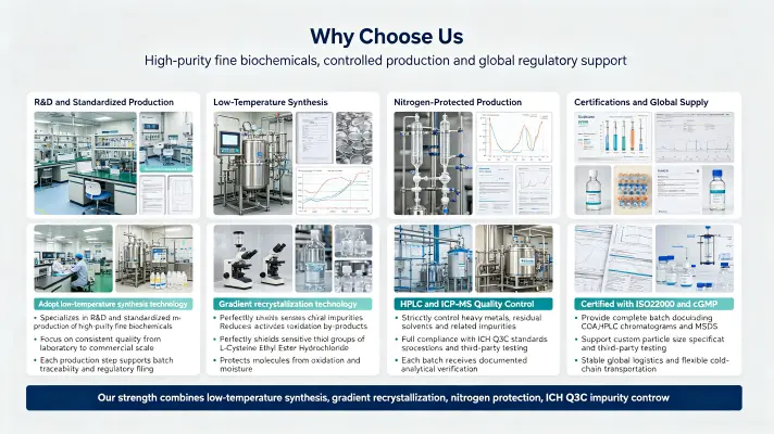 Why Choose Us