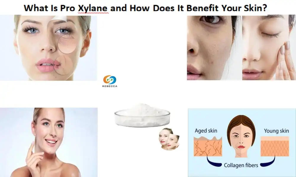 Што такое Pro Xylane і якую карысць ён прыносіць вашай скуры?