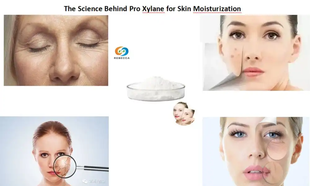Навука за Pro Xylane для ўвільгатнення скуры