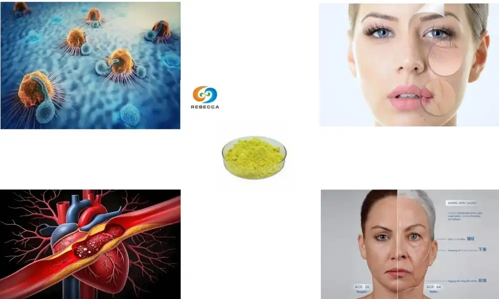 Најважније предности природног кверцетина у праху поткрепљене науком