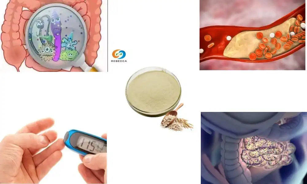 Oat Beta-Glucan: Ang Pagpasabot sa Immune Super Fiber Oat Beta-Glucan: Ang Pagpasabot sa Immune Super Fiber