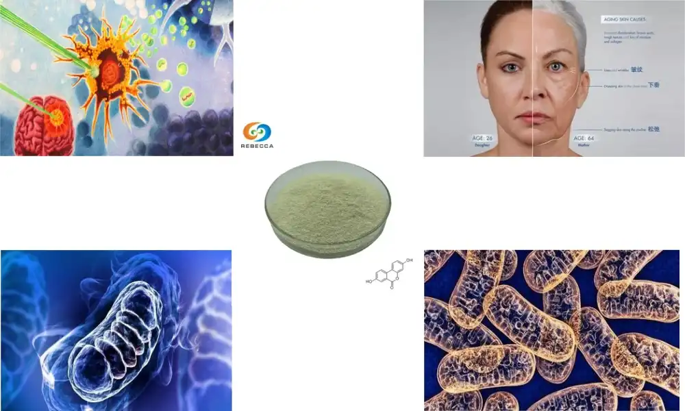 Giunsa pagtandi ang Urolithin A sa ubang mga nagpadako sa mitochondrial?