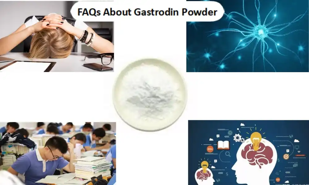 Mga FAQ Bahin sa Gastrodin Powder
