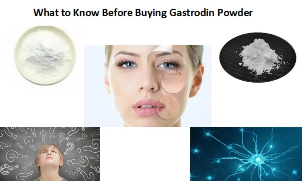 Unsa ang Mahibal-an Sa Dili pa Mopalit Gastrodin Powder?