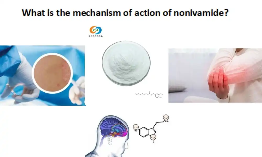 Unsa ang mekanismo sa aksyon sa nonivamide?