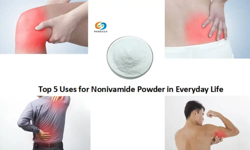 Panguna nga 5 nga Paggamit alang sa Nonivamid Powder sa Adlaw-adlaw nga Kinabuhi