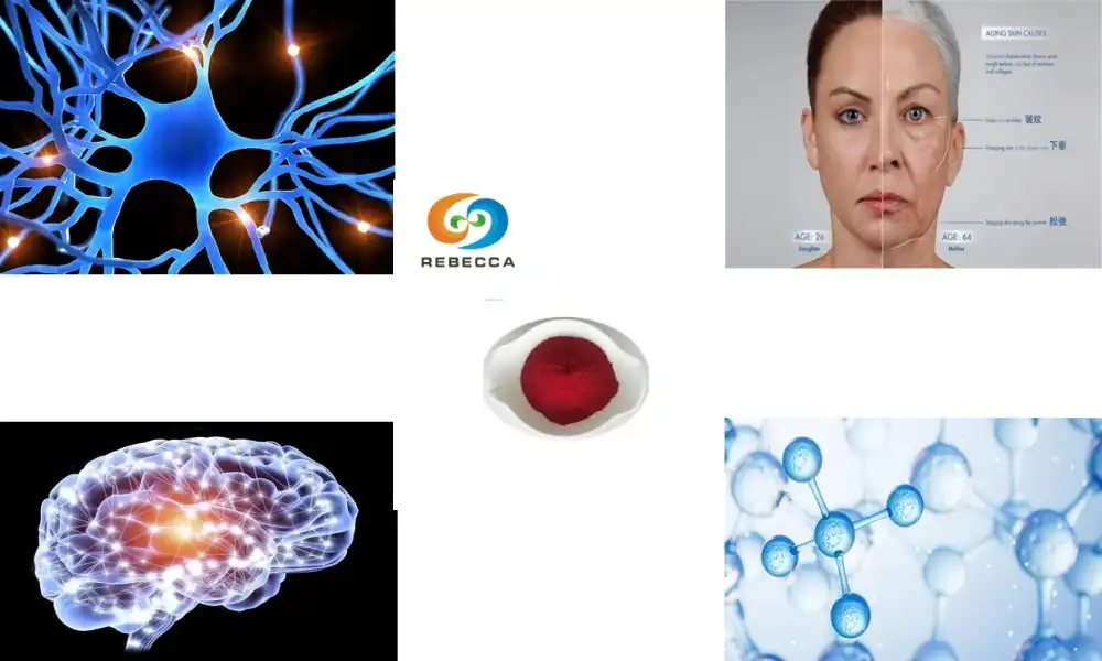 Главне предности PQQ динатријумове соли за формулаторе