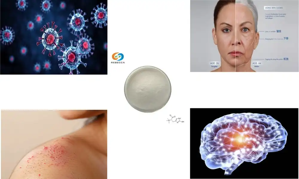 Кључне употребе Л-ерготионеина у модерним суплементима