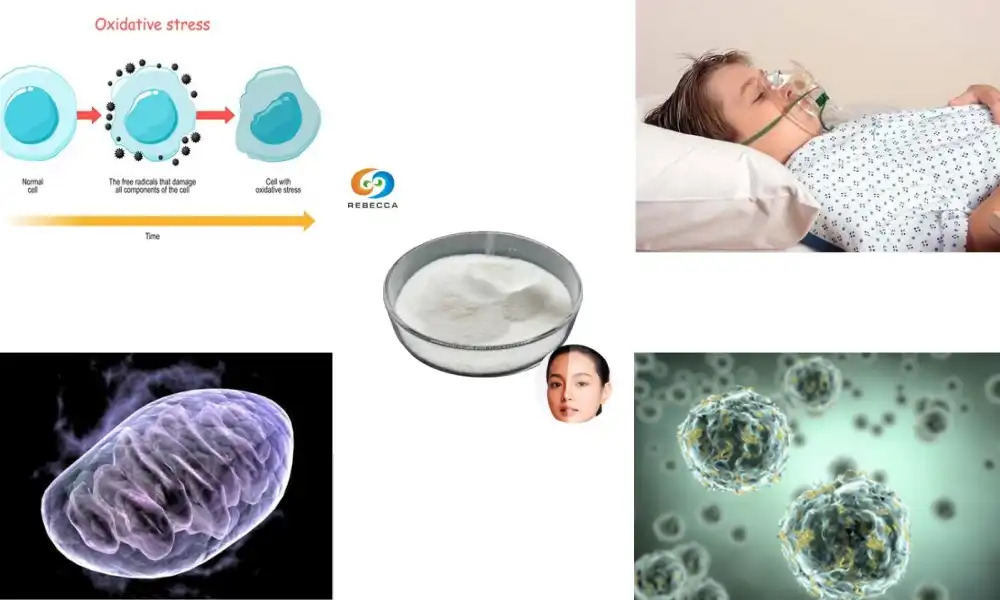 Benefícios do glutationa em pó para atletas Benefícios do glutationa em pó para atletas