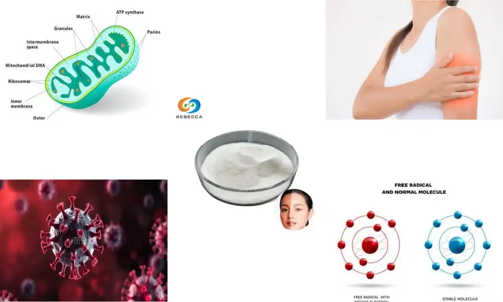 What role does glutathione play in athletic performance? What role does glutathione play in athletic performance?