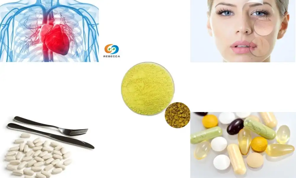 What is the main function of baicalein powder?