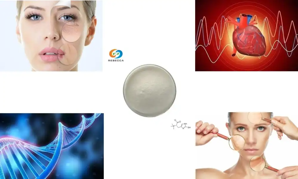 Ergothioneine ọ bụ vitamin na-adịte aka?