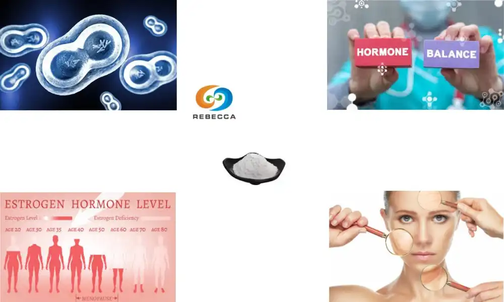 Does pterostilbene powder raise estrogen?