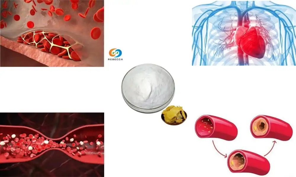 How Resveratrol Supports a Stronger Heart Naturally?
