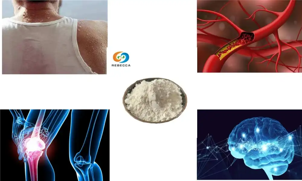 சோயா புரதத்திற்கும் சோயா ஐசோஃப்ளேவோன்களுக்கும் என்ன வித்தியாசம்? சோயா புரதத்திற்கும் சோயா ஐசோஃப்ளேவோன்களுக்கும் என்ன வித்தியாசம்?