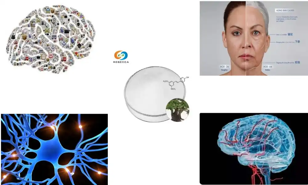 Pterostilbene vs resveratrol for brain health Pterostilbene vs resveratrol for brain health