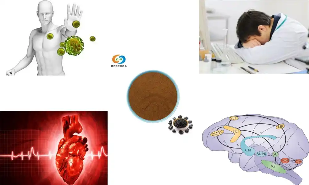 What is Shilajit extract used for?