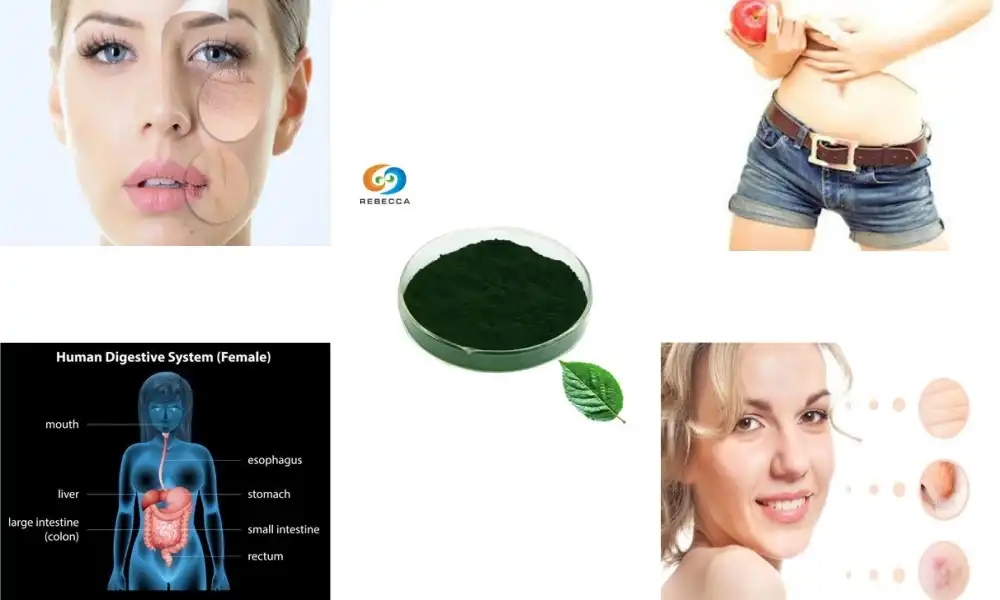 What are the benefits of chlorophyll powder?