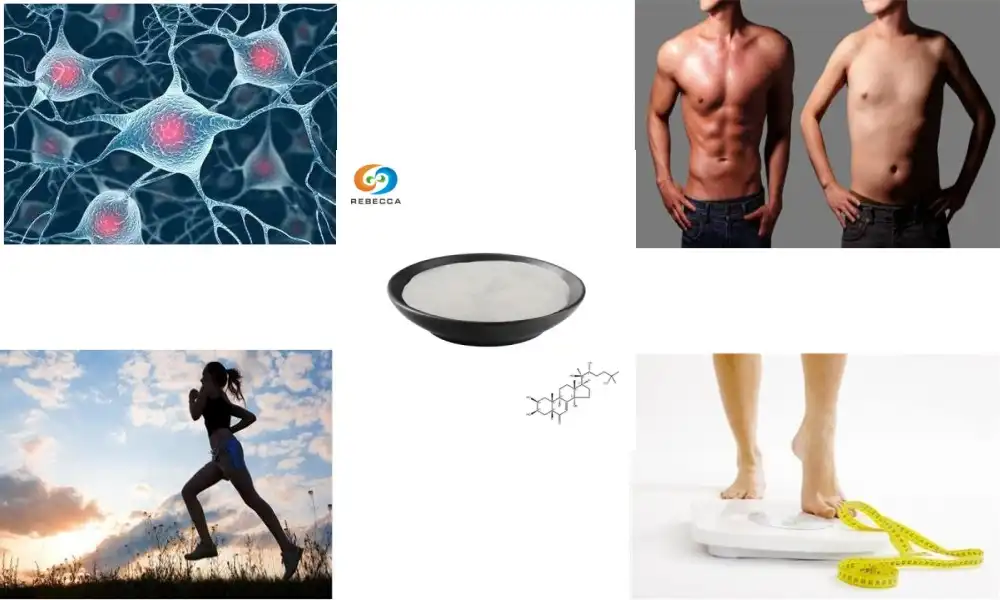 Can you take ecdysterone and turkesterone together? Can you take ecdysterone and turkesterone together?