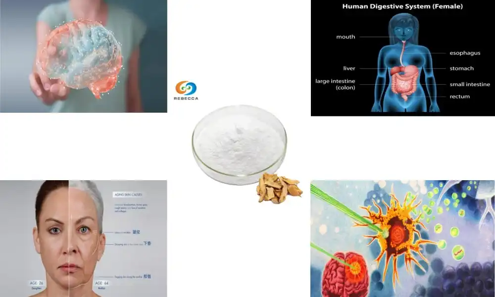 As mulheres devem consumir açafrão em pó diariamente? As mulheres devem consumir açafrão em pó diariamente?