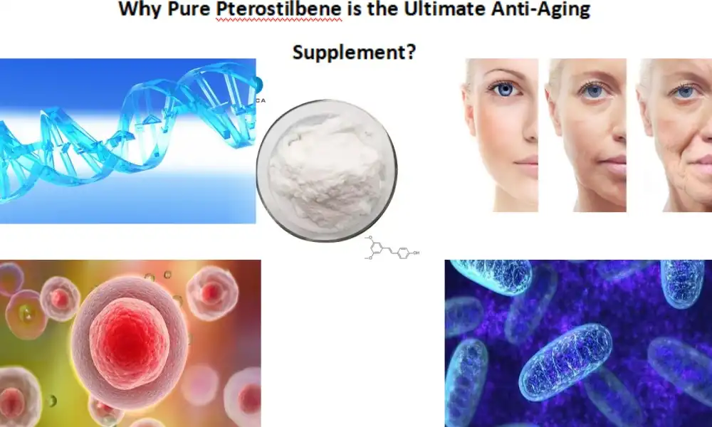 Чаму Pure Pterostilbene - найлепшая дабаўка супраць старэння?