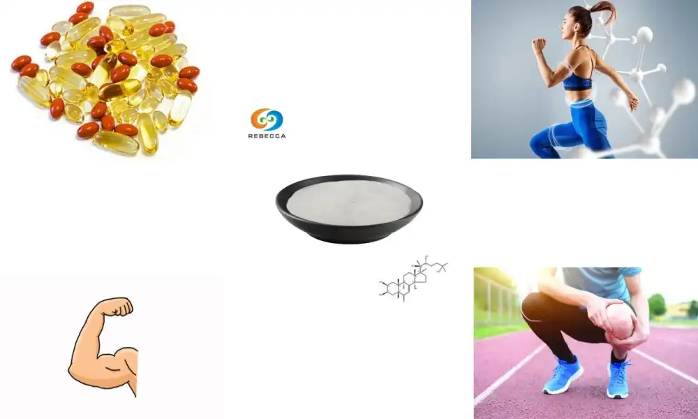 What are the main differences between ecdysterone and turkesterone in safety? What are the main differences between ecdysterone and turkesterone in safety?