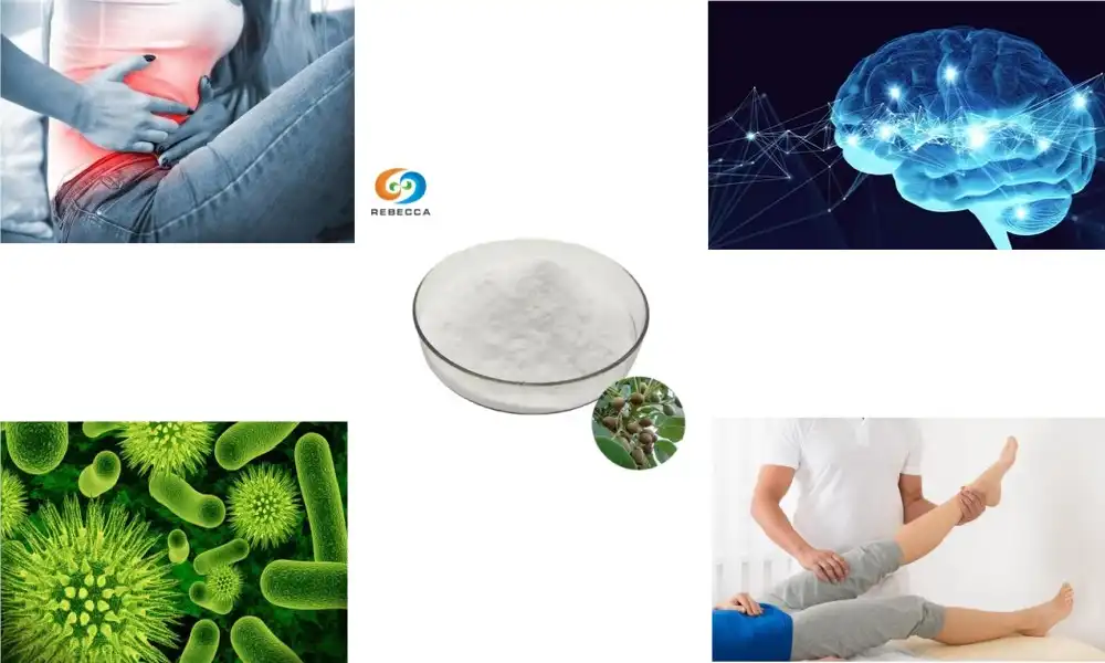 The Anti-Inflammatory Power of Helicid Powder
