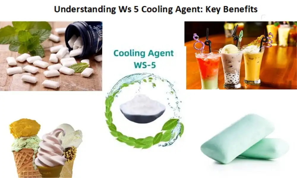Разуменне Ws 5 Cooling Agent: асноўныя перавагі