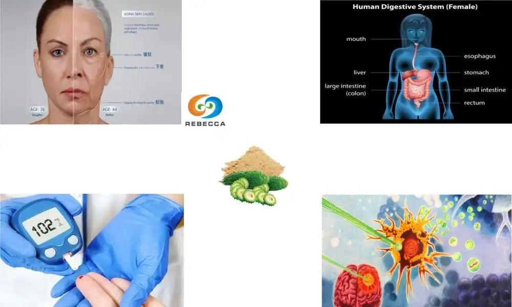 Sekirite alontèm melon anmè nan dyabetik yo Sekirite alontèm melon anmè nan dyabetik yo