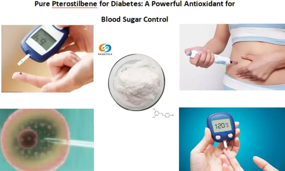 Pure Pterostilbene for Diabetes: A Powerful Antioxidant for Blood Sugar Control