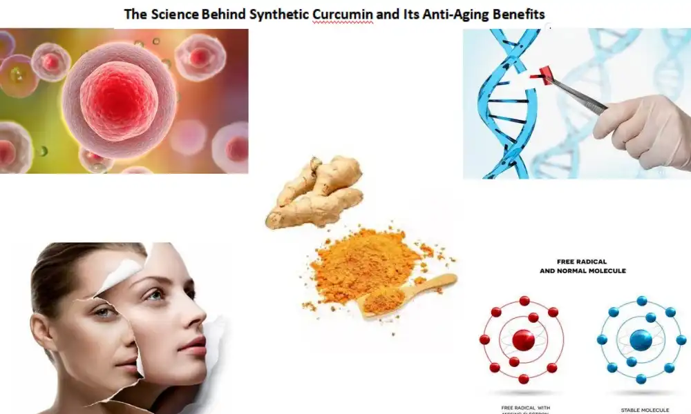 Ang Siyensya sa Luyo sa Synthetic Curcumin ug ang Anti-Aging Benepisyo niini
