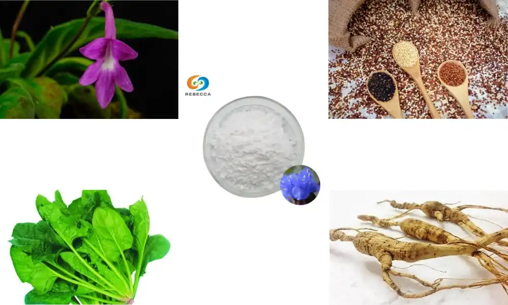 Kedu nri kachasị na ecdysterone?