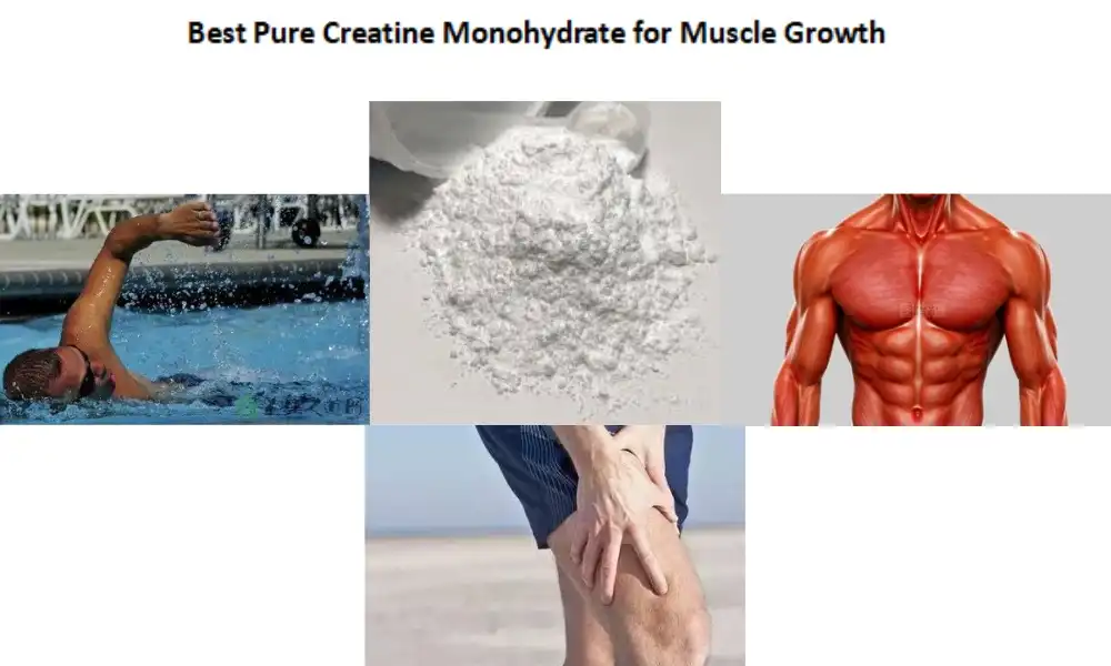 Labing Maayo nga Pure Creatine Monohydrate alang sa Pagtubo sa Kaunuran