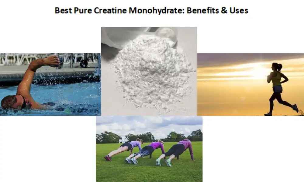 Labing Maayo nga Pure Creatine Monohydrate: Mga Kaayohan ug Paggamit