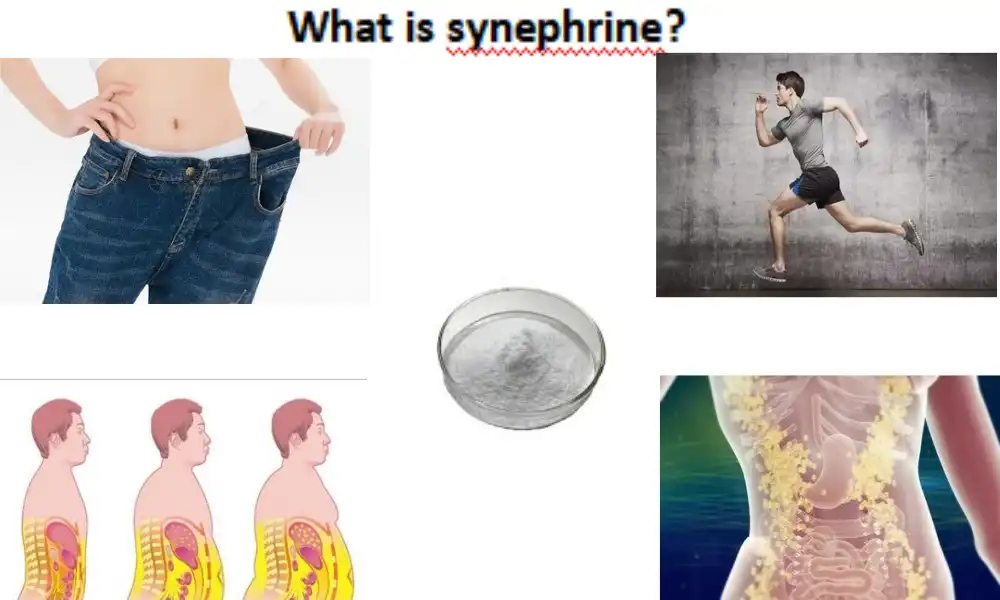 Unsa ang synephrine?