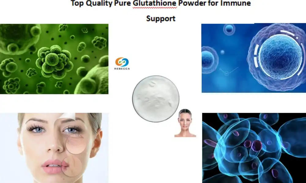 Top Quality Pure Glutathione Powder for Immune Support