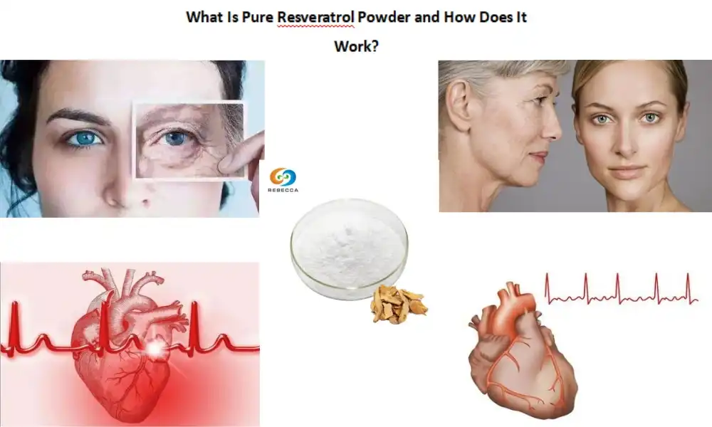 Unsa ang Purong Resveratrol Powder ug Giunsa Kini Pagtrabaho?