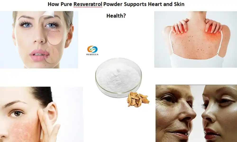 Hoe ondersteunt puur resveratrolpoeder de gezondheid van hart en huid?