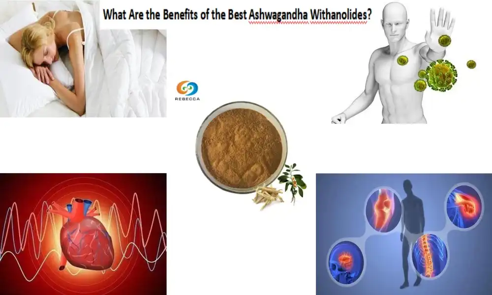 Unsa ang mga Kaayohan sa Labing Maayo nga Ashwagandha Withanolides?
