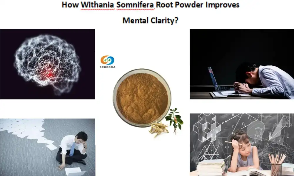 Giunsa nga ang Withania Somnifera Root Powder Nagpauswag sa Katin-aw sa Pangisip?