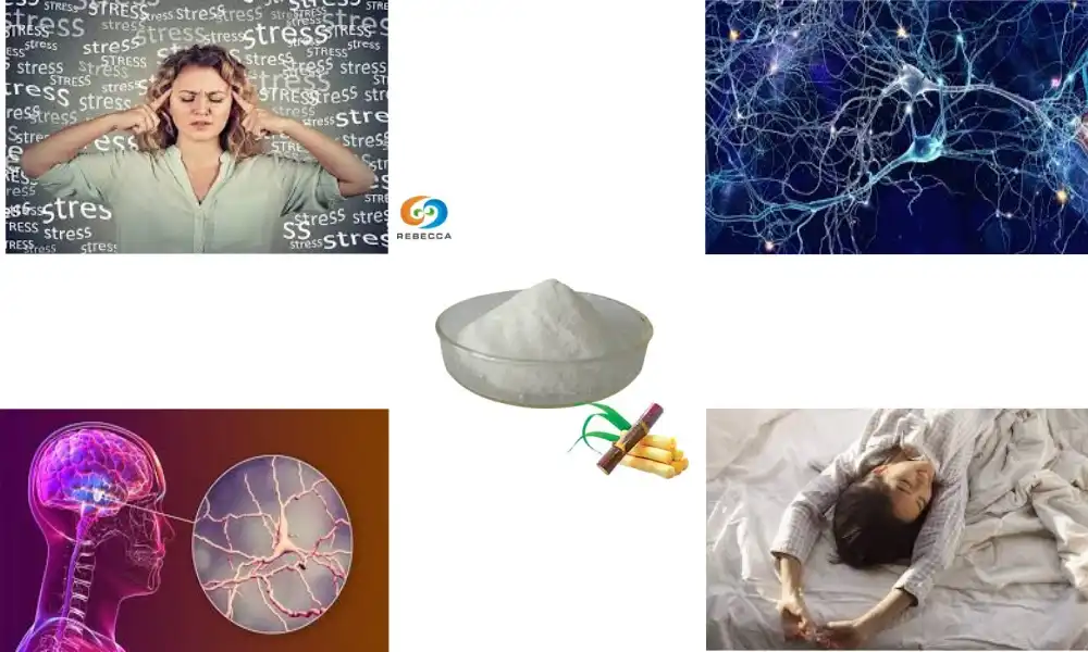 Este eficientă pudra de octacosanol pentru îmbunătățirea concentrării?