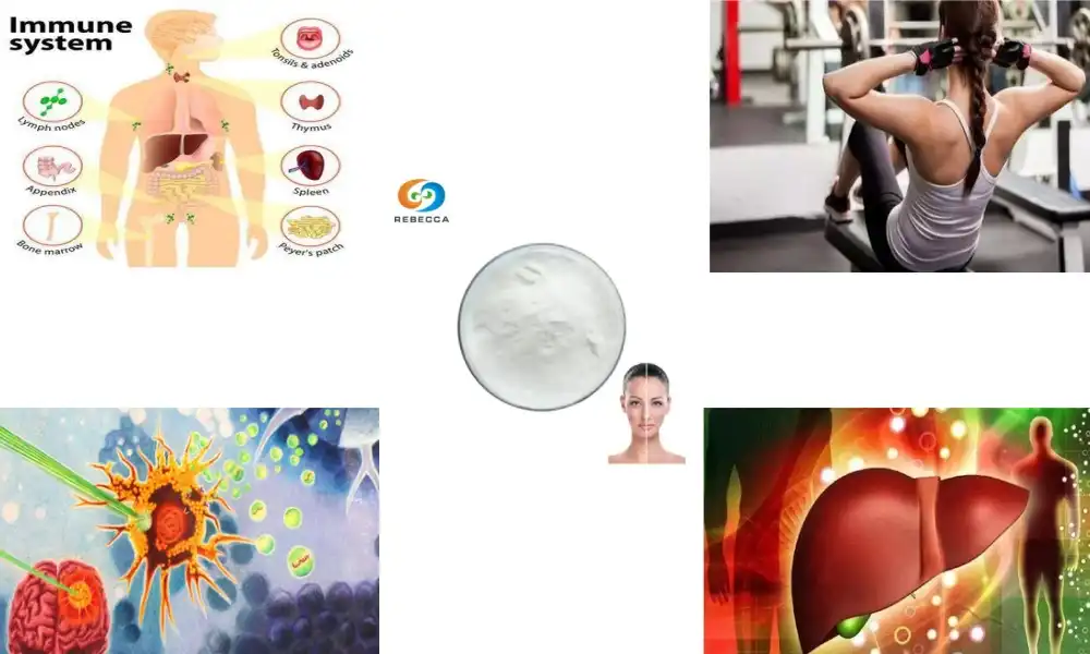 Sporcular İçin Glutatyon Tozu: Hızlı İyileşme ve Performans
