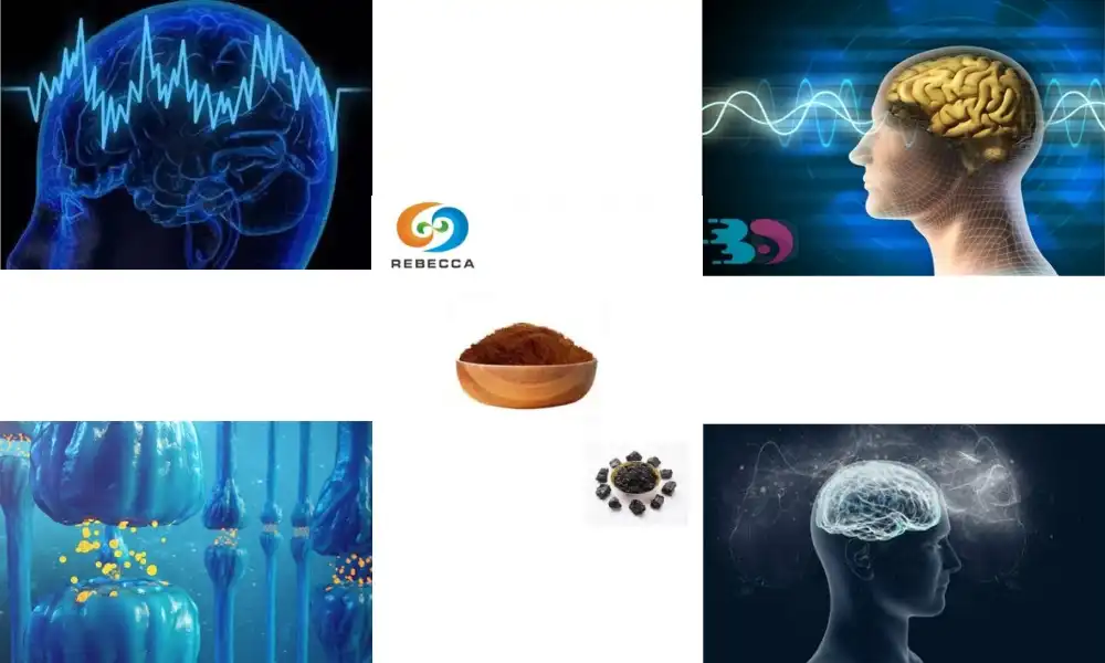 Shilajit Extract para sa Suporta sa Utok ug Memorya Shilajit Extract para sa Suporta sa Utok ug Memorya
