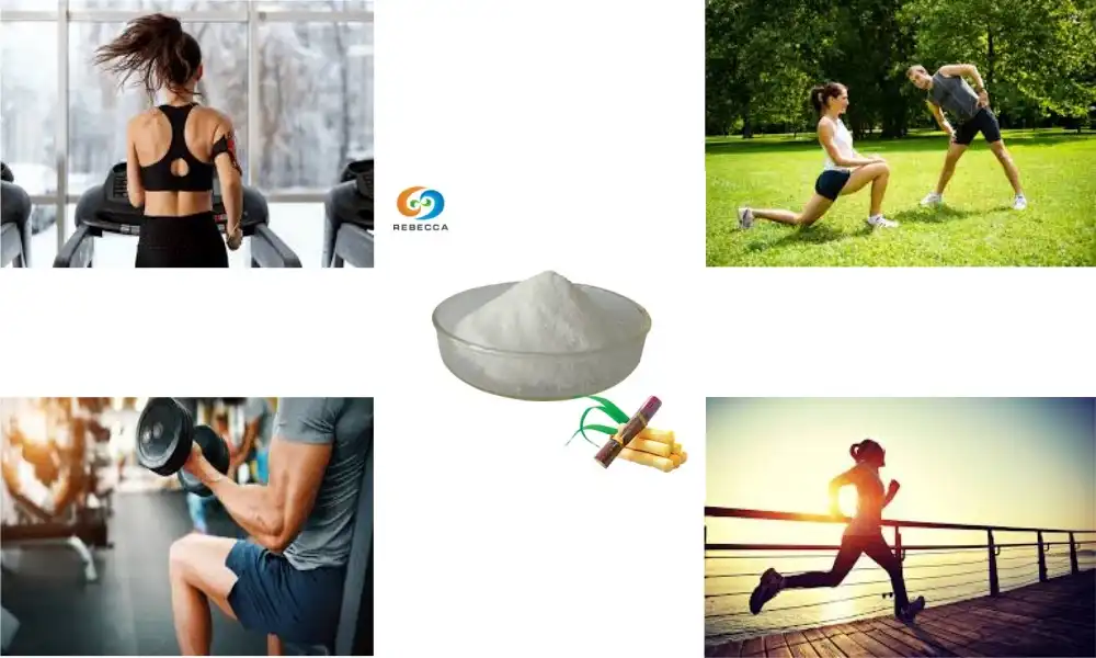 Octacosanol Powder for Better Muscle Endurance and Strength