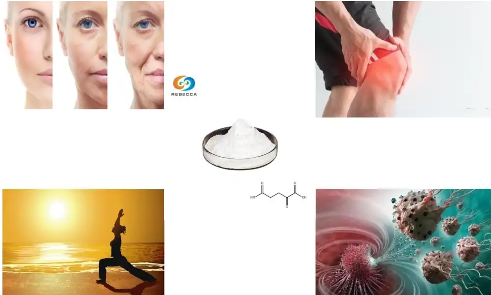Ke likarolo life tsa lik'hemik'hale tsa Calcium Alpha-Ketoglutarate Powder?