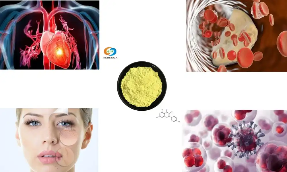Shin kaempferol iri ɗaya ne da quercetin?